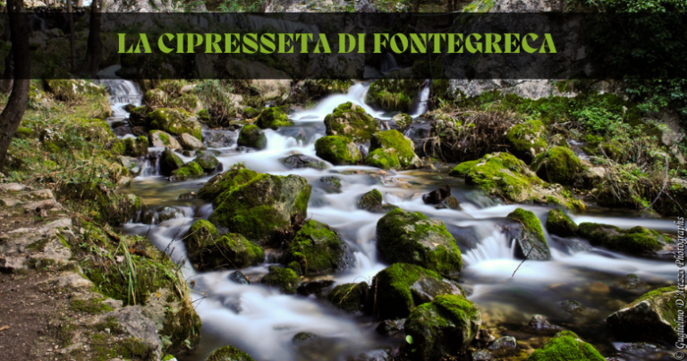 La Cipresseta Di Fontegreca Hetor